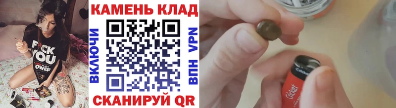 ГАШ Premium  Сураж 