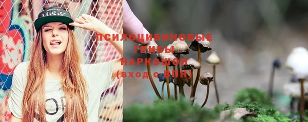 прущий лед Алексеевка