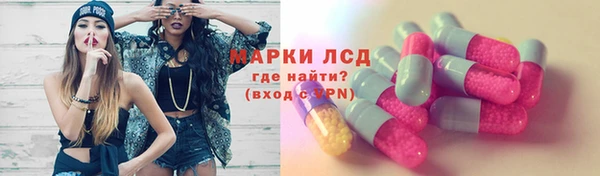 стафф Алзамай