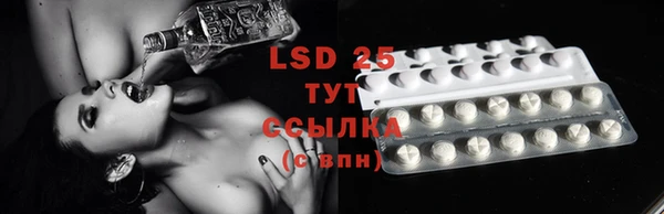 стафф Алзамай