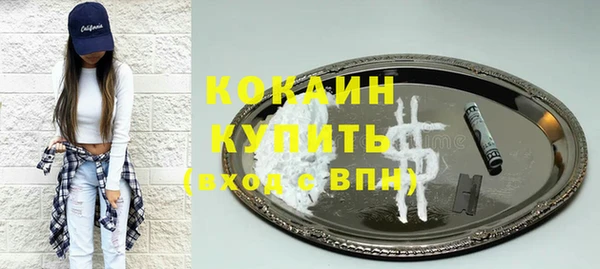 стафф Алзамай
