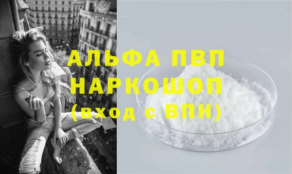 стафф Алзамай