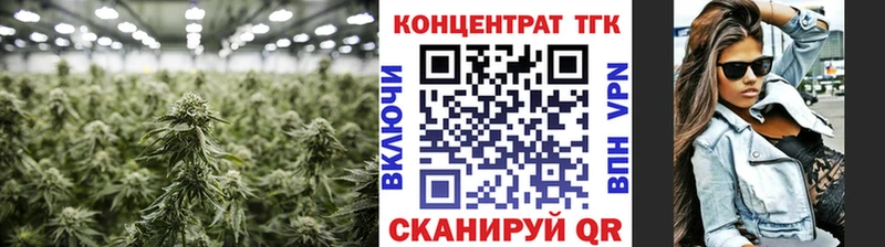 ТГК вейп с тгк  дарнет шоп  Сураж 
