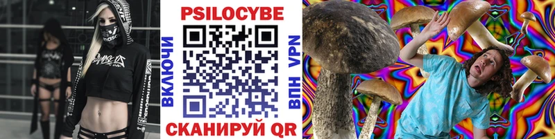 где купить   Сураж  Псилоцибиновые грибы ЛСД 