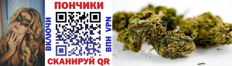 магазин  наркотиков  Сураж  Конопля Amnesia 